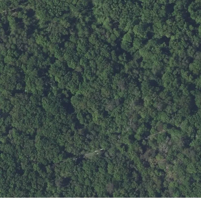 Orthophotographie IGN montrant un couvert forestier dense en Dordogne